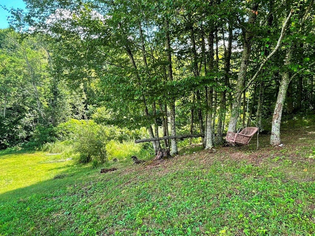 Tbd Big Ridge Road Independence, VA 24348 - Photo 10 of 29 Gallery Image 10