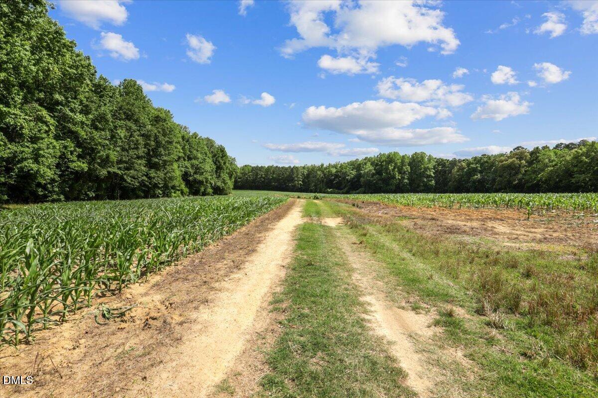 0 Antioch Church Road Middlesex, NC 27557 - Photo 18 of 26