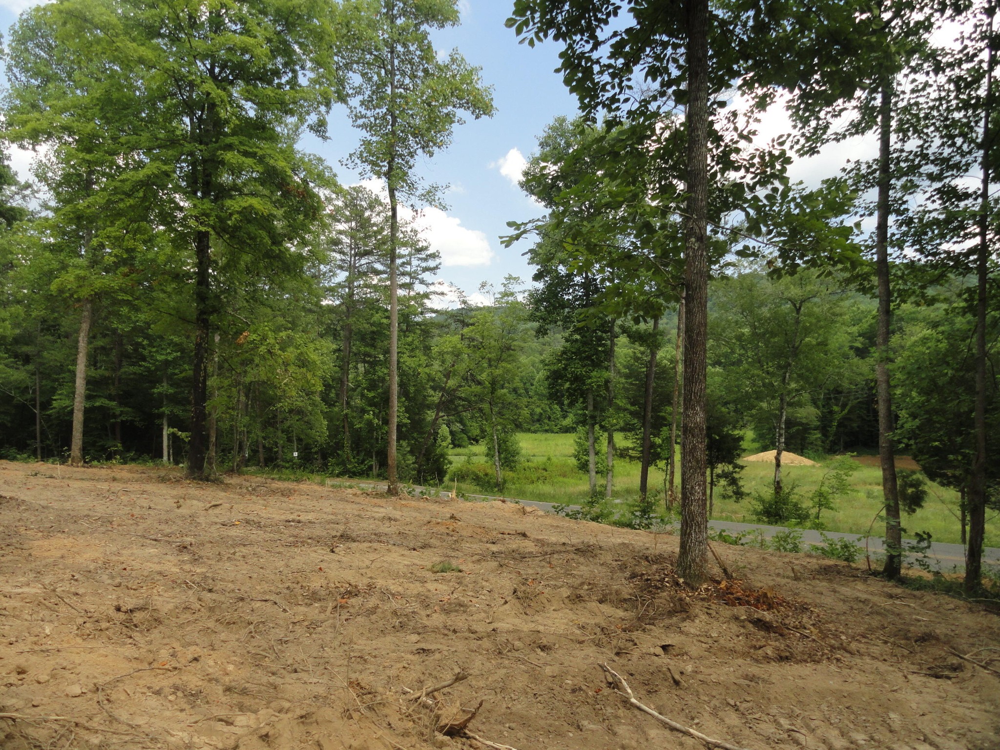2277 Tellico Reliance Road Reliance, TN 37369 - Photo 31 of 34 a view of outdoor space with trees all around