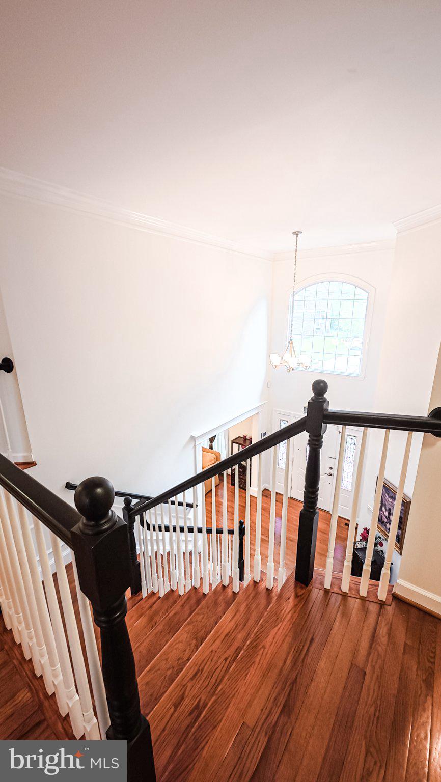 1807 Anderson Road Falls Church, VA 22043 - Photo 12 of 33 Elegant staircase with warm wood tones.