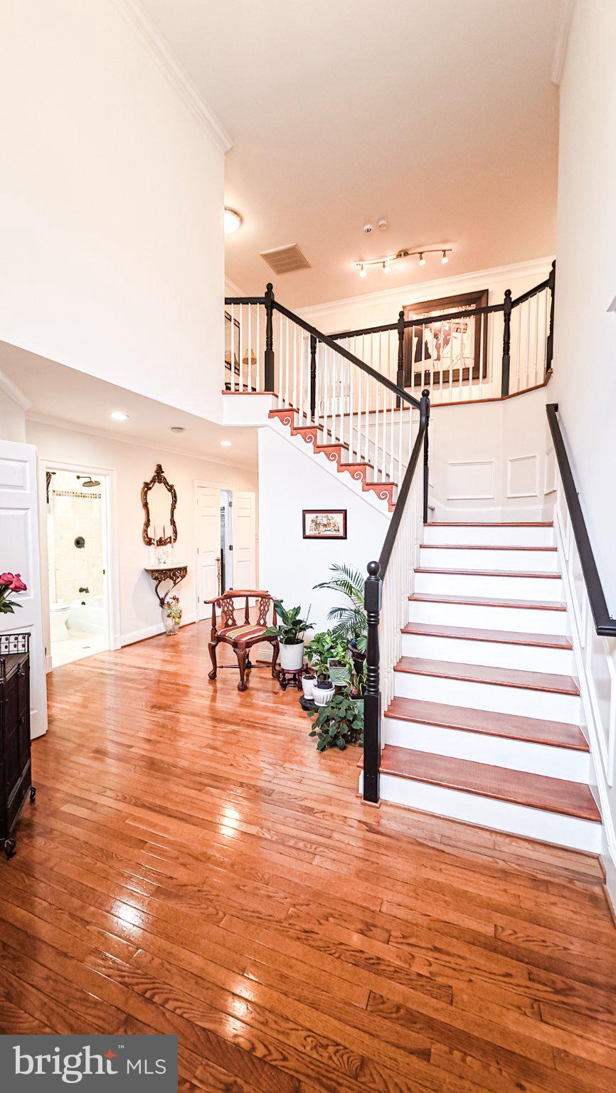 1807 Anderson Road Falls Church, VA 22043 - Photo 2 of 33 Elegant foyer with sweeping staircase.
