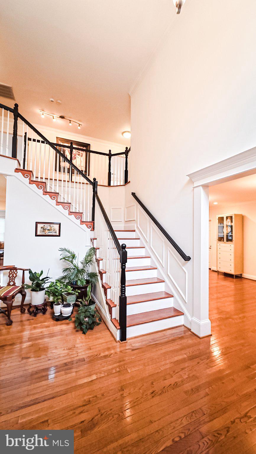 1807 Anderson Road Falls Church, VA 22043 - Photo 3 of 33 Elegant foyer with sweeping staircase.
