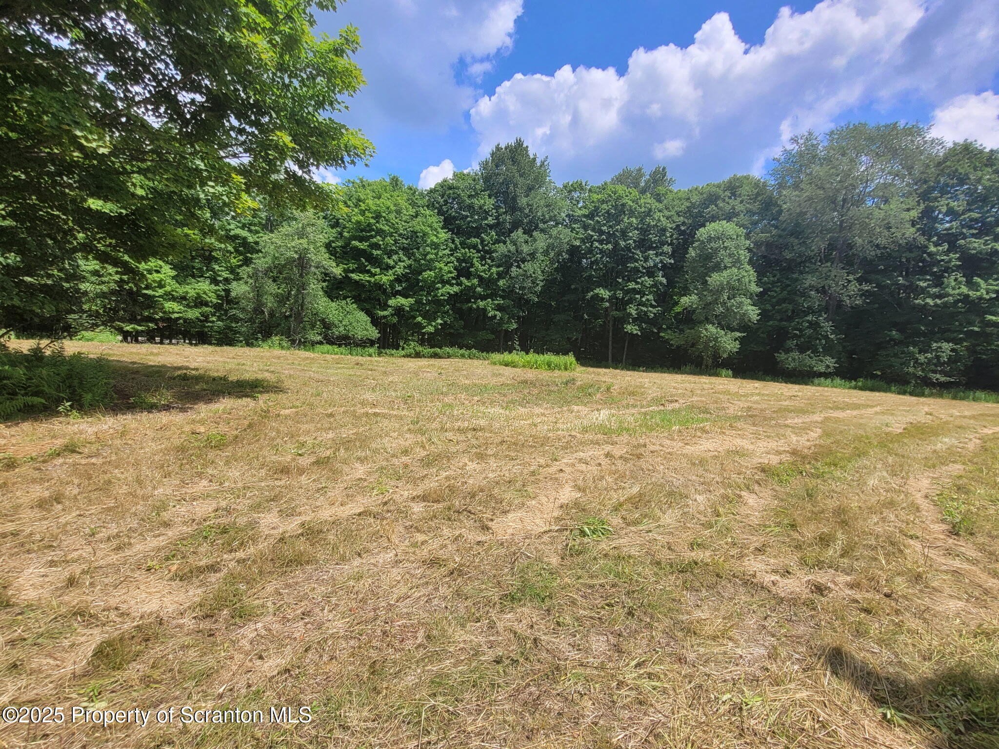 742 May Road Union Dale, PA 18470 - Photo 11 of 19 a view of empty space with mountain in the background