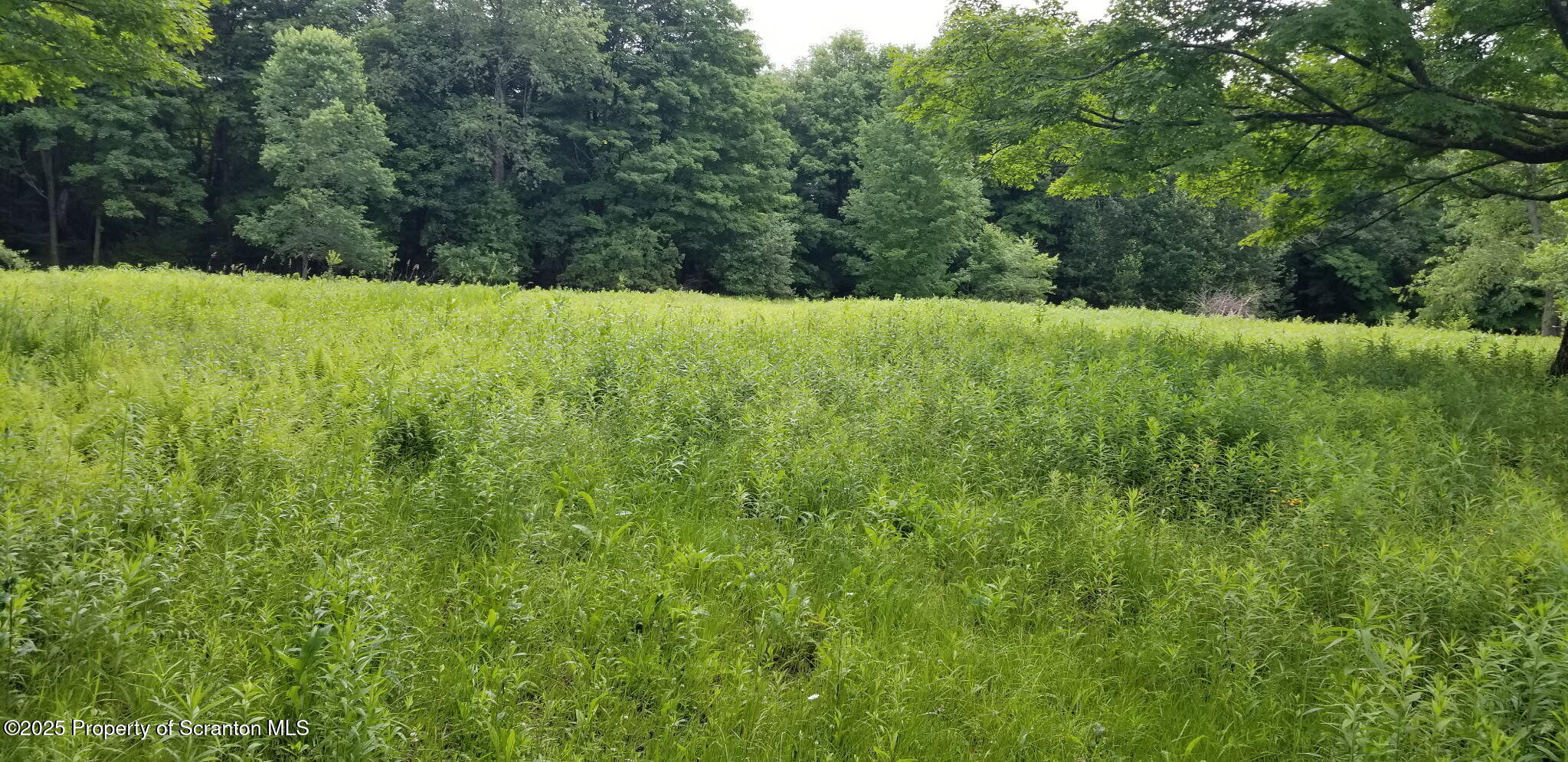 742 May Road Union Dale, PA 18470 - Photo 12 of 19 a view of an outdoor space with a lake view