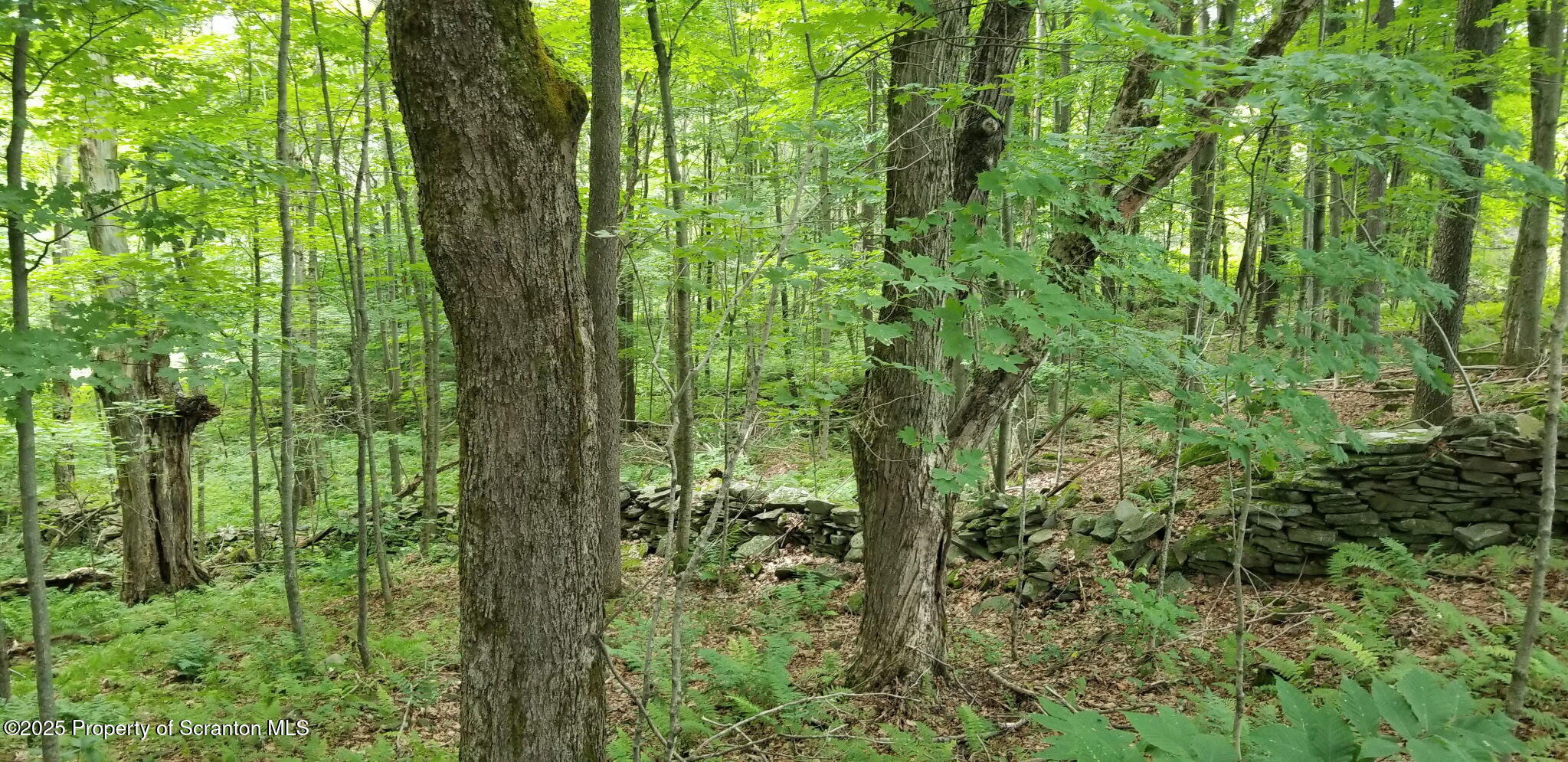 742 May Road Union Dale, PA 18470 - Photo 14 of 19 a view of a garden