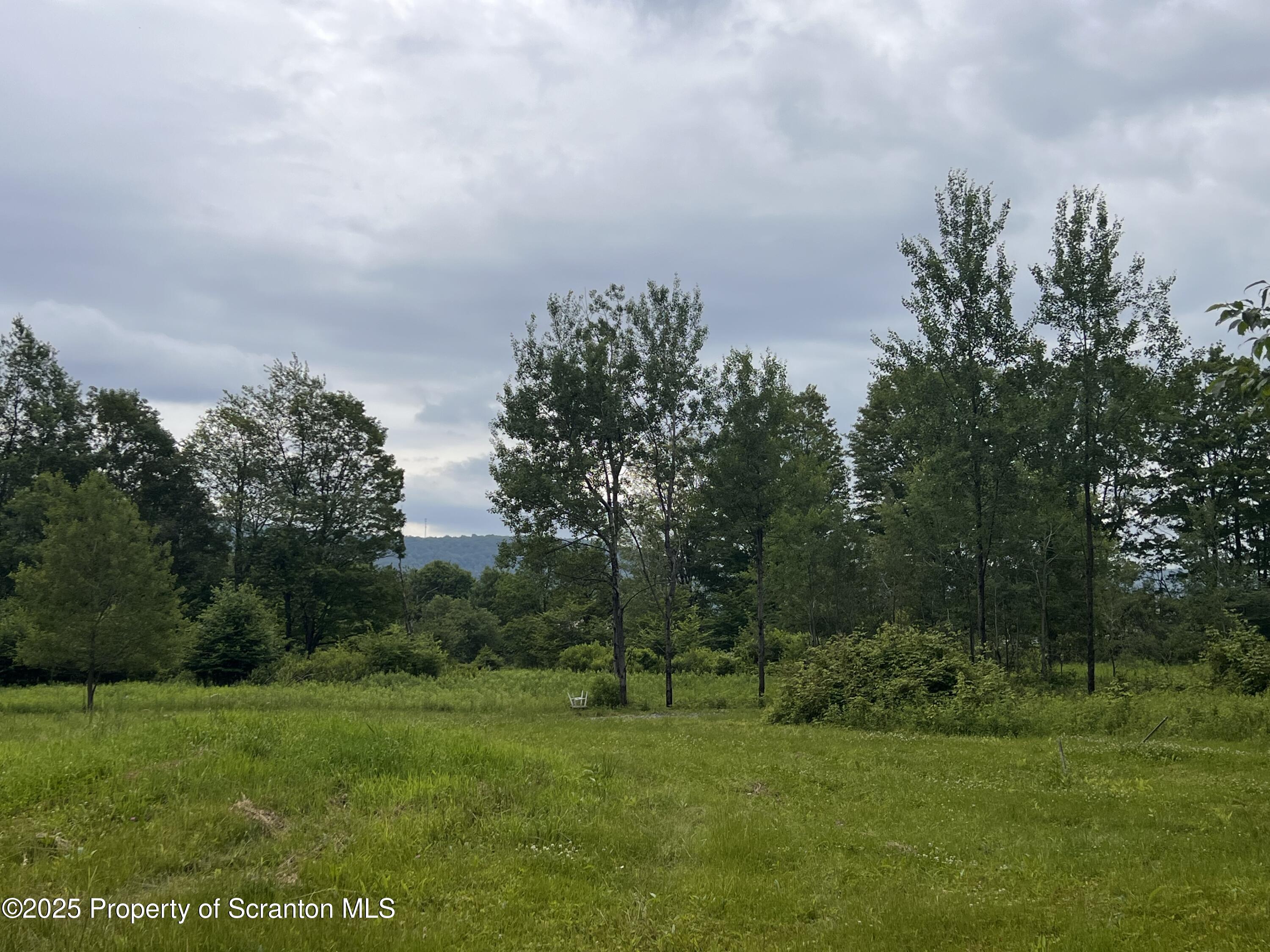 742 May Road Union Dale, PA 18470 - Photo 18 of 19 a view of a grassy field with trees in the background