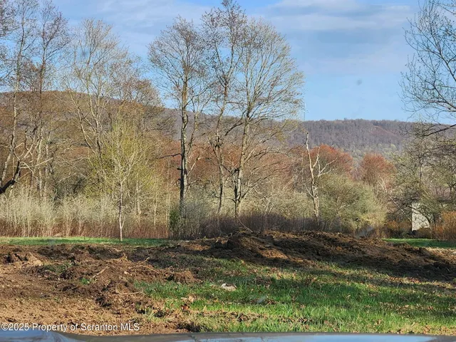 a view of a yard with large trees