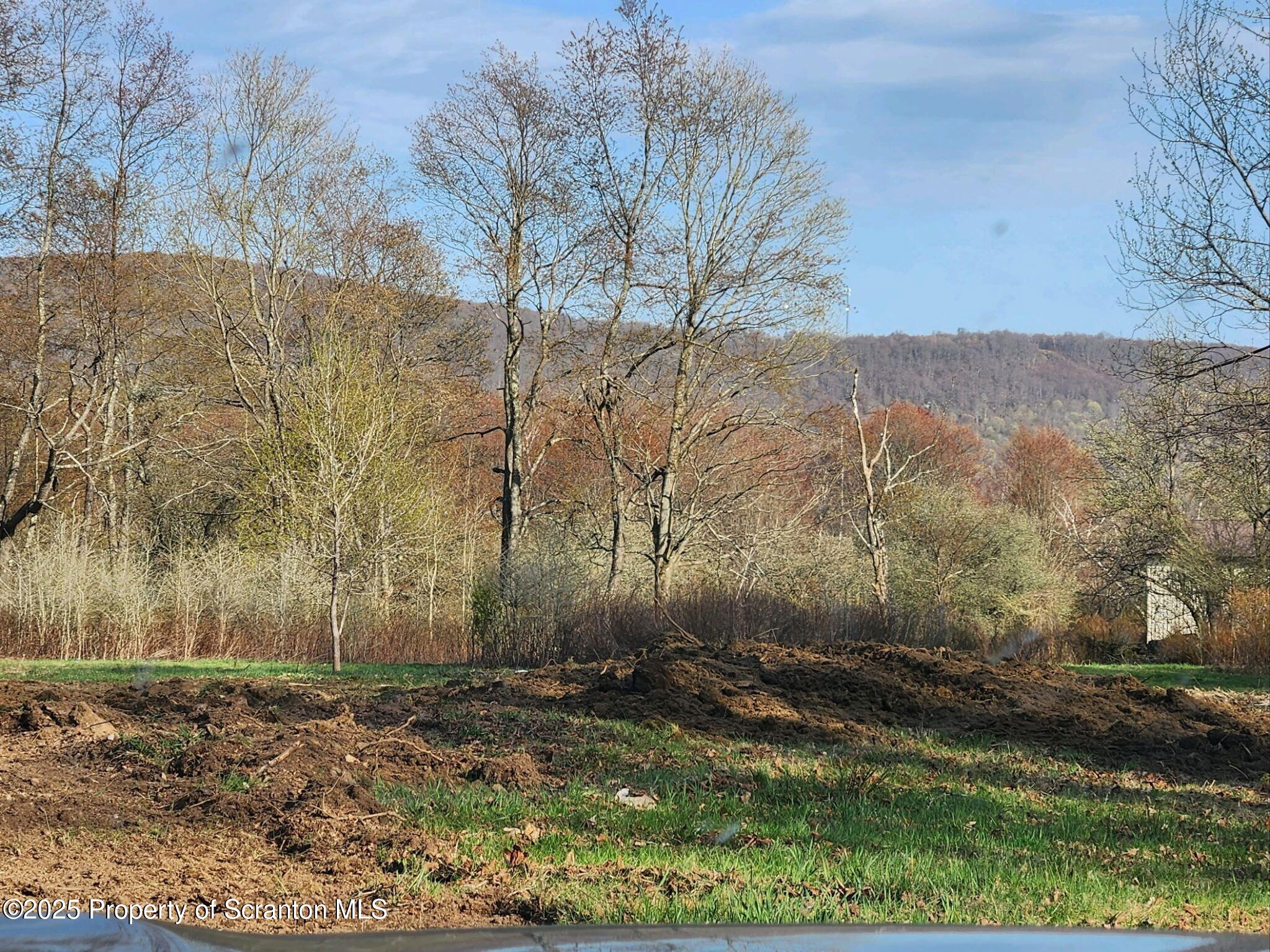 742 May Road Union Dale, PA 18470 - Photo 4 of 19 a view of a yard with large trees