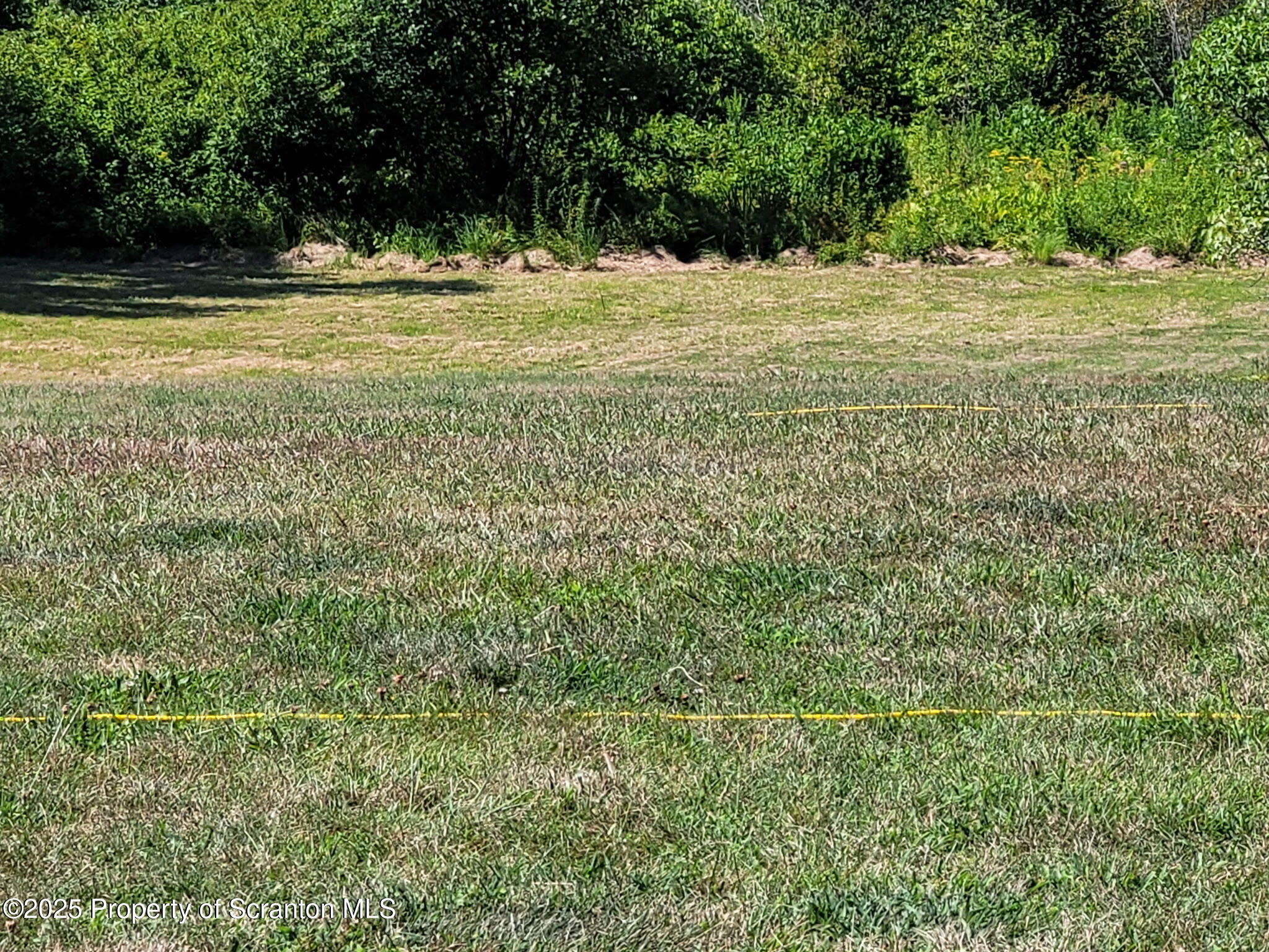742 May Road Union Dale, PA 18470 - Photo 6 of 19 a view of outdoor space with yard