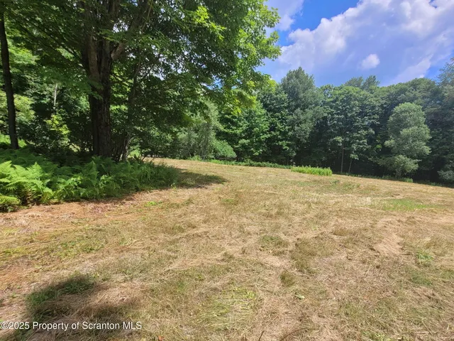 a view of a yard with a tree
