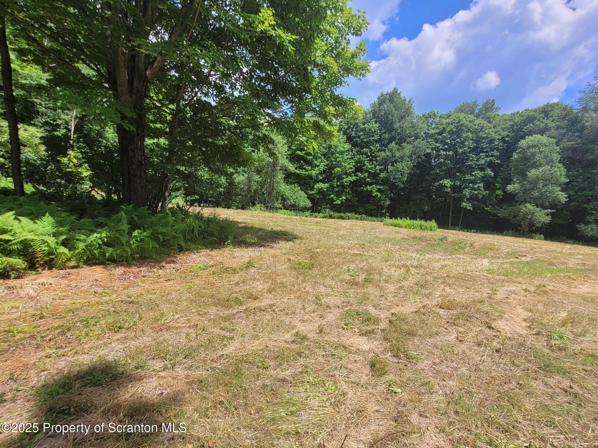 742 May Road Union Dale, PA 18470 - Photo 7 of 19 a view of a yard with a tree