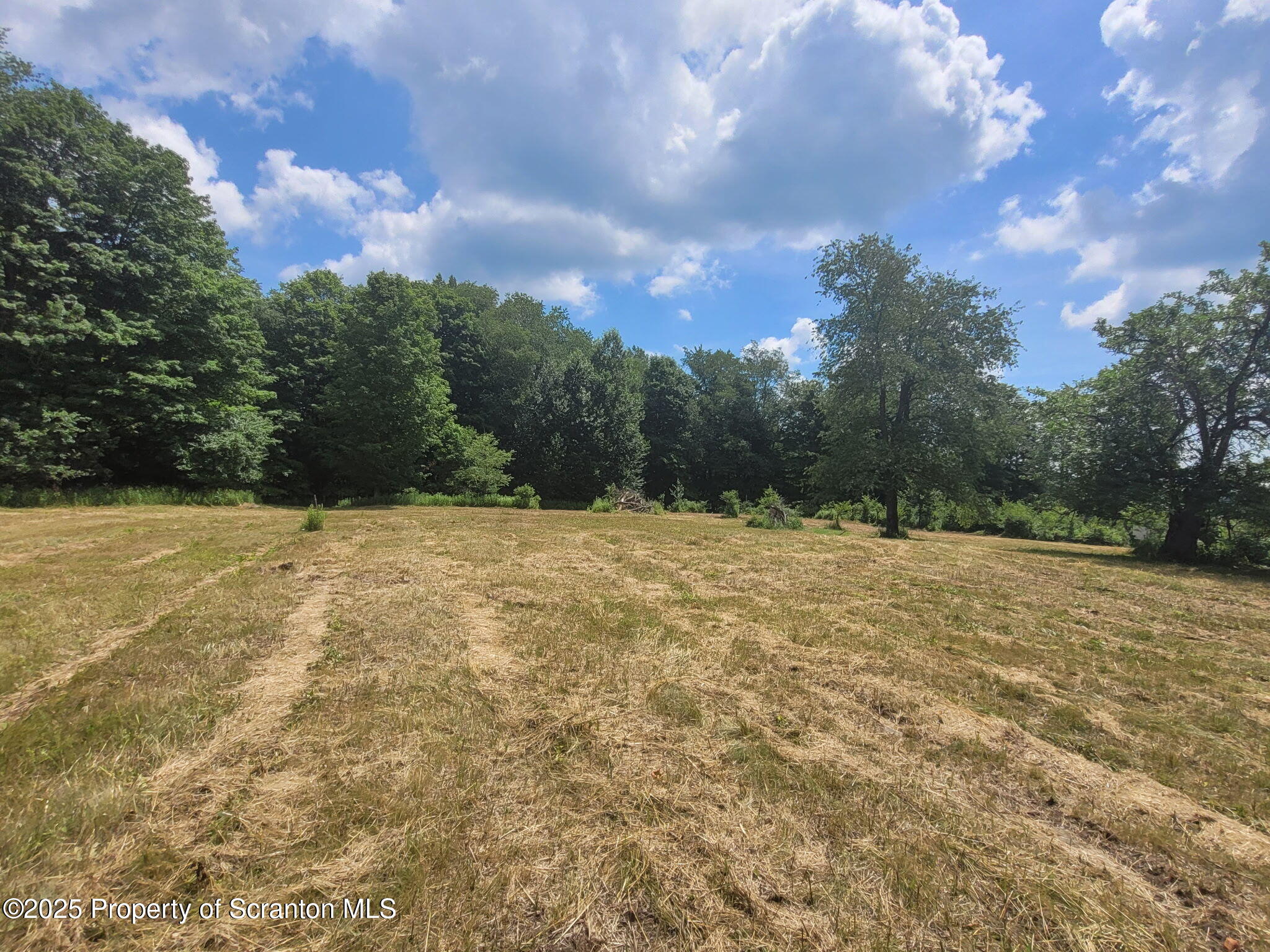 742 May Road Union Dale, PA 18470 - Photo 8 of 19