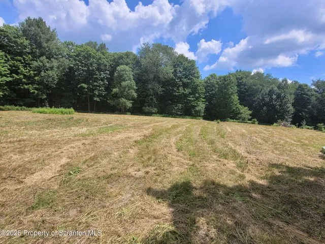 a view of empty space with mountain in the background