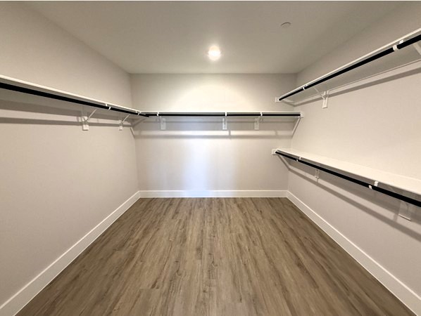 5607 Mobeetie Loop Bee Cave, TX 78738 - Photo 13 of 21 walk-in closet in primary bedroom