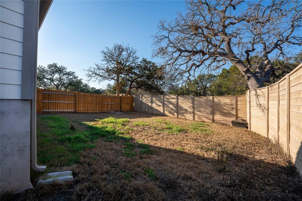313 Syrah Court Leander, TX 78641 - Photo 21 of 23
