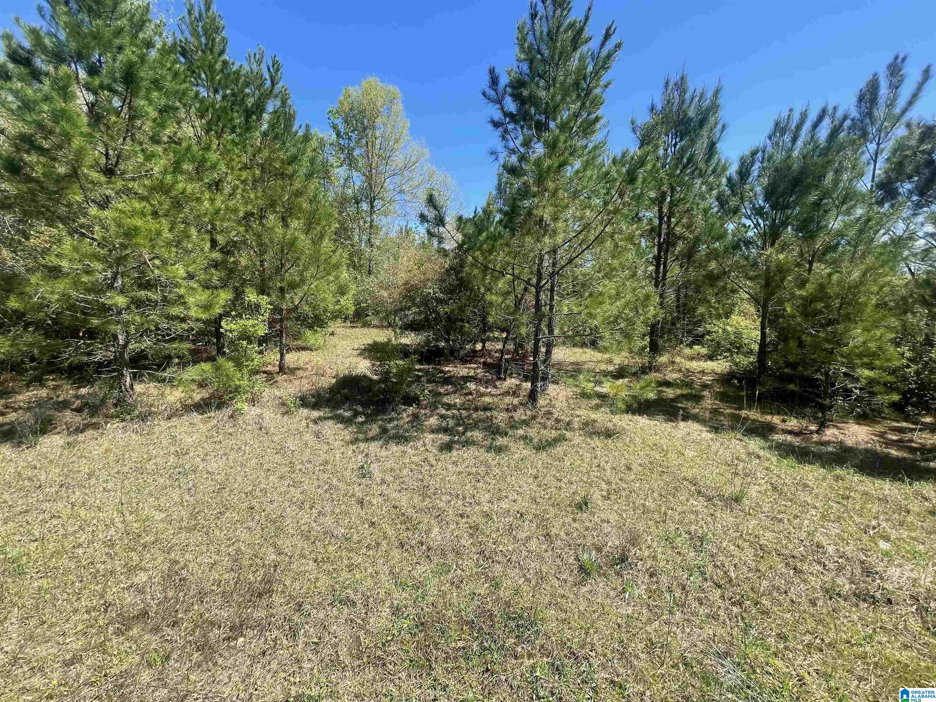 0 Richardson Road Brewton, AL 36426 - Photo 30 of 47