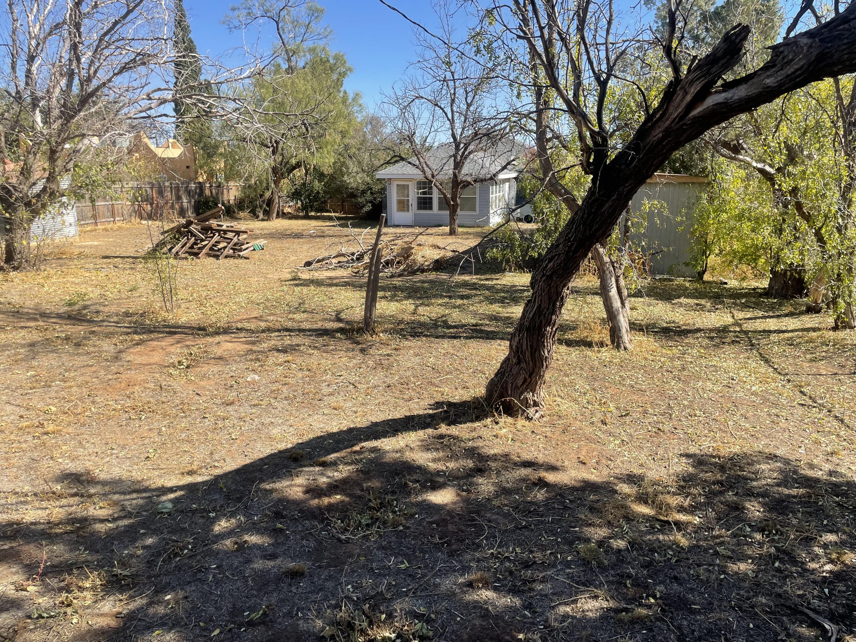 101 S Avenue Post, TX 79356 - Photo 13 of 19 a view of a yard with a tree
