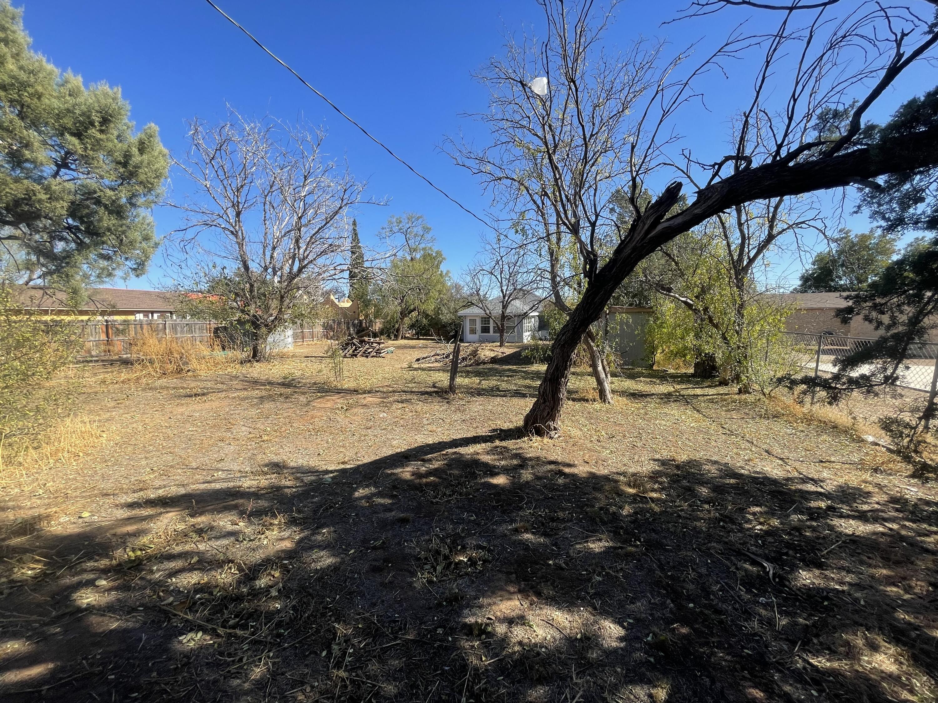 101 S Avenue Post, TX 79356 - Photo 14 of 19 a view of dirt yard with a large tree