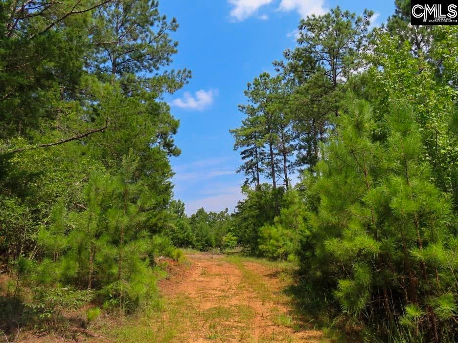 0 Landis Road Winnsboro, SC 29180 - Photo 3 of 83 Gallery Image 3