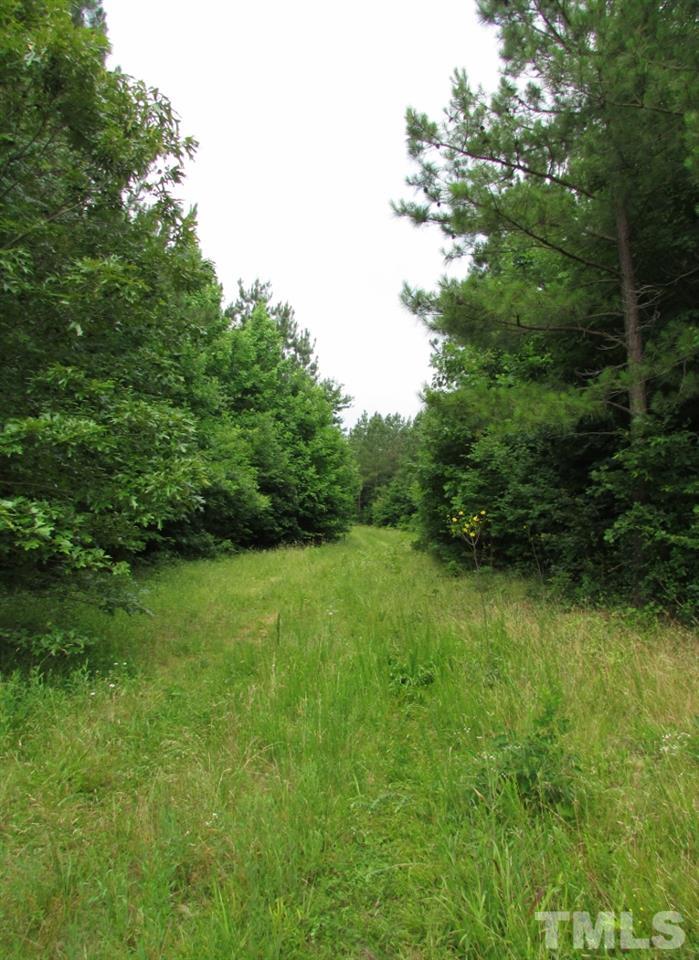Jim Poole Road Roxboro, NC 27574 - Photo 8 of 11 a view of a green yard