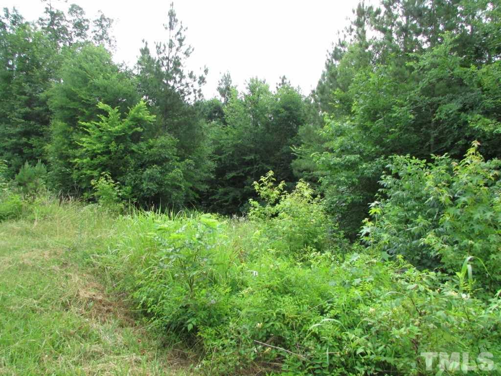 Jim Poole Road Roxboro, NC 27574 - Photo 9 of 11 a view of a lush green forest with lawn chairs