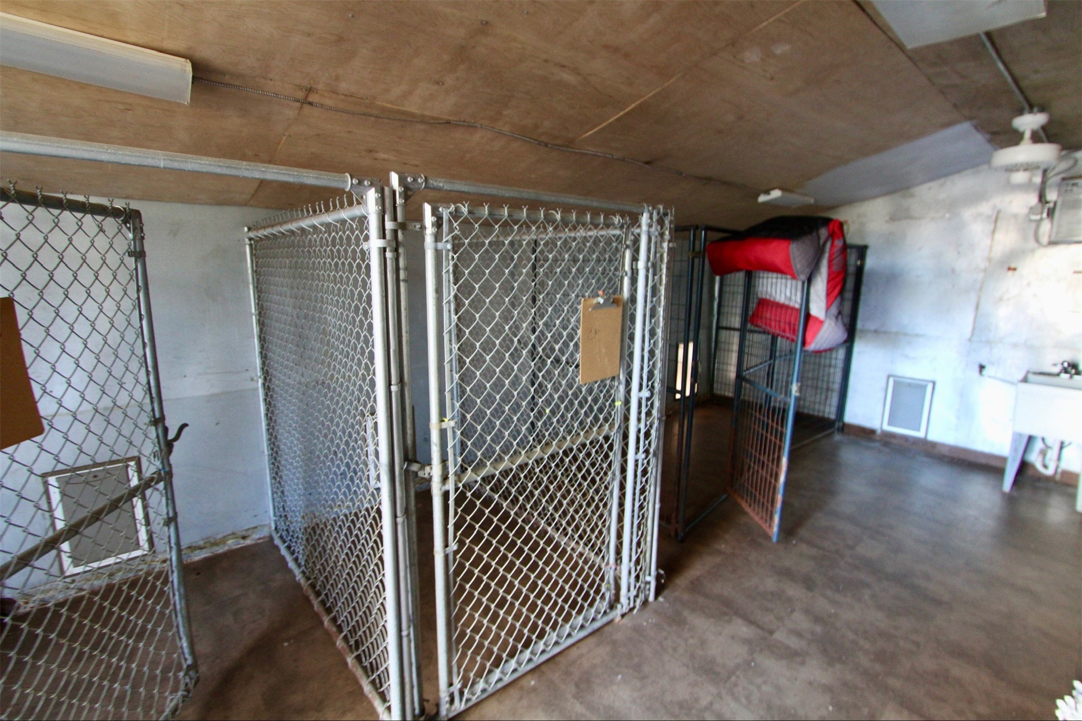 Dog wash station and more kennels