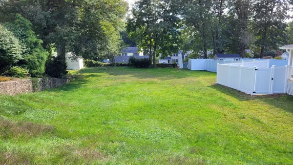 a view of a backyard with large trees