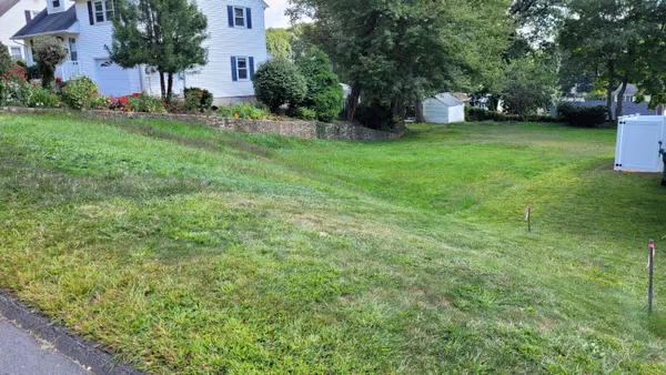 a view of a backyard with large trees
