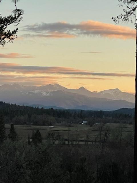 620 Eight Dollar Mountain Road Selma, OR 97538 - Photo 15 of 46 IMG_1104