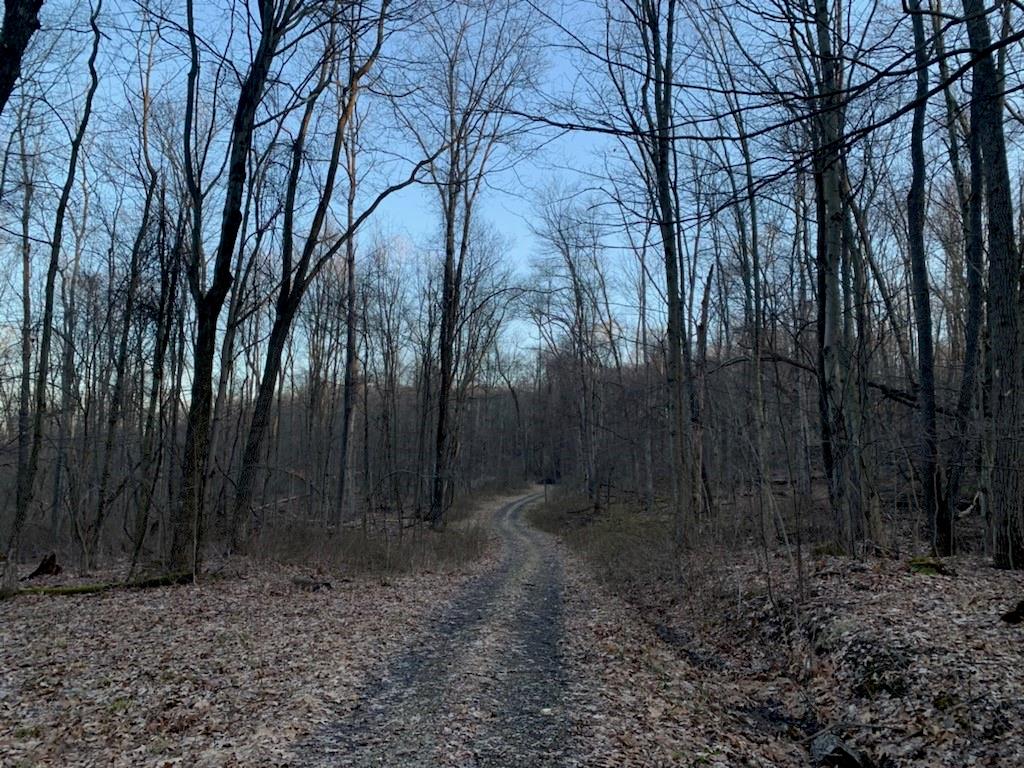 298 Dennison Run Road Polk, PA 16342 - Photo 2 of 4 a view of a backyard