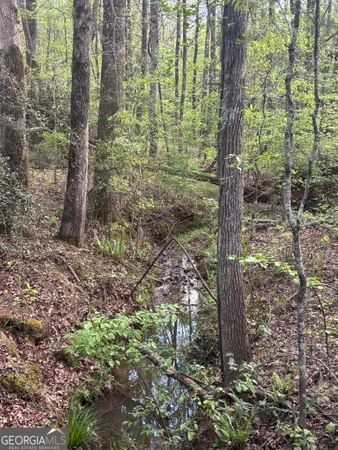 $55,000 | 0 Valley Rescue Mission Road, Unit 203, Hamilton, GA 31811