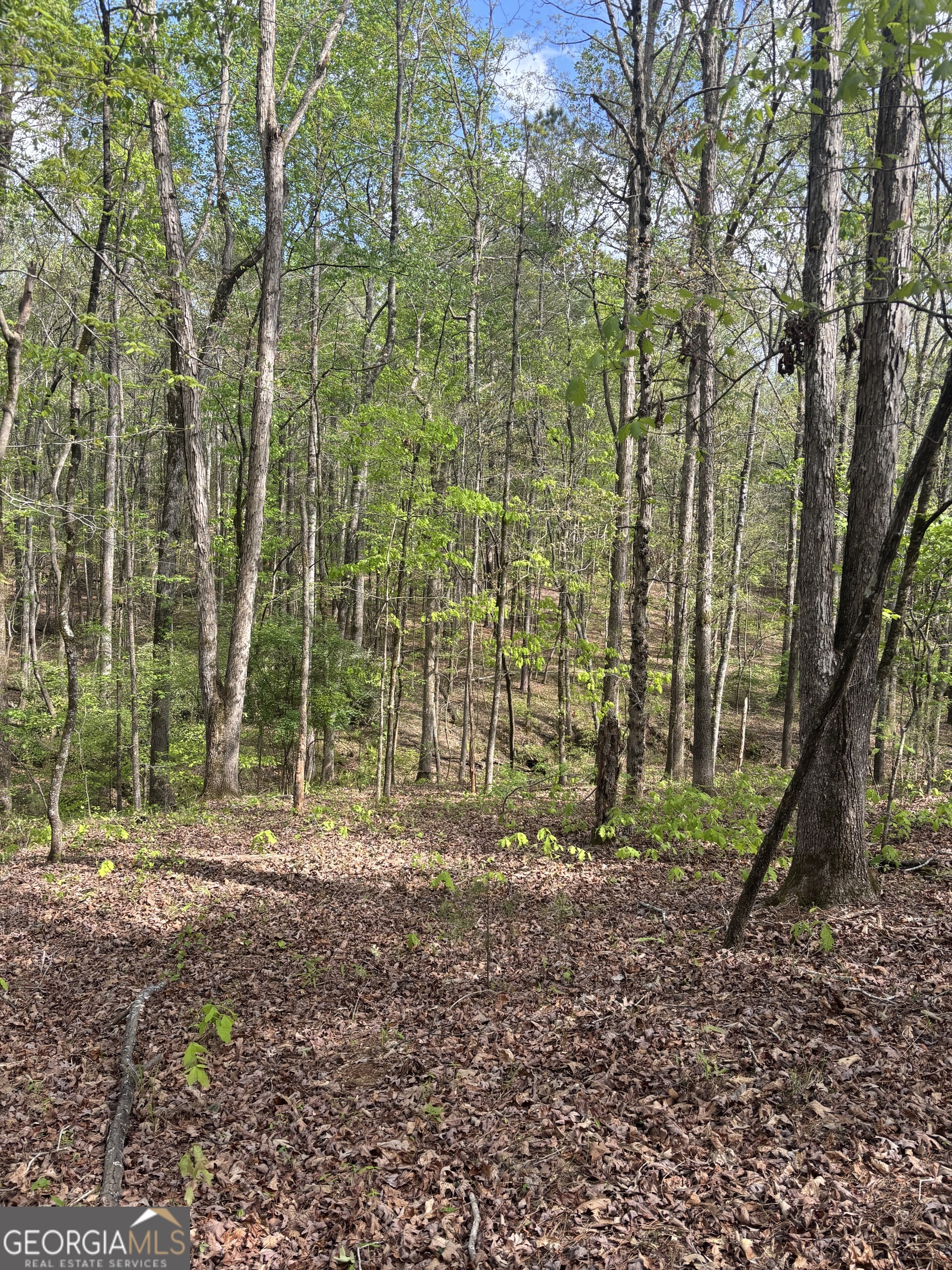 0 Valley Rescue Mission Road, Unit 203 Hamilton, GA 31811 - Photo 12 of 13