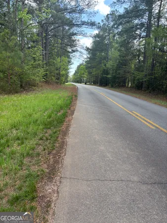 $55,000 | 0 Valley Rescue Mission Road, Unit 203, Hamilton, GA 31811