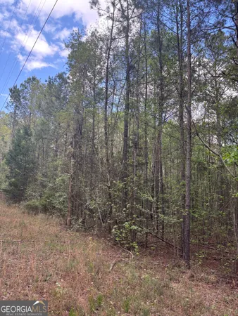$55,000 | 0 Valley Rescue Mission Road, Unit 203, Hamilton, GA 31811