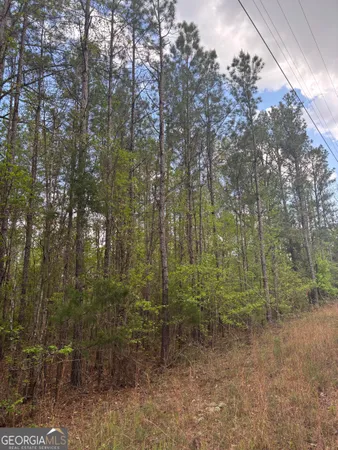 $55,000 | 0 Valley Rescue Mission Road, Unit 203, Hamilton, GA 31811