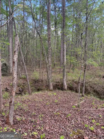 $55,000 | 0 Valley Rescue Mission Road, Unit 203, Hamilton, GA 31811