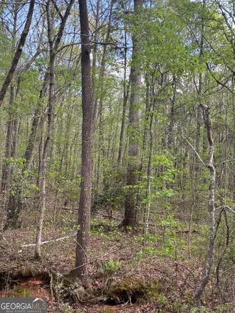 $55,000 | 0 Valley Rescue Mission Road, Unit 203, Hamilton, GA 31811
