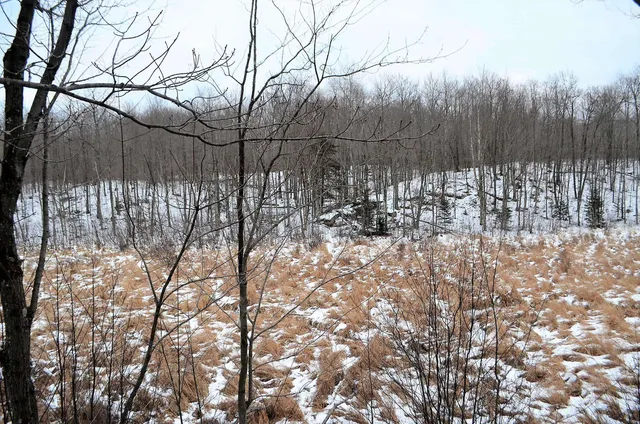 $499,900 | County Road, Birnamwood, WI 54414