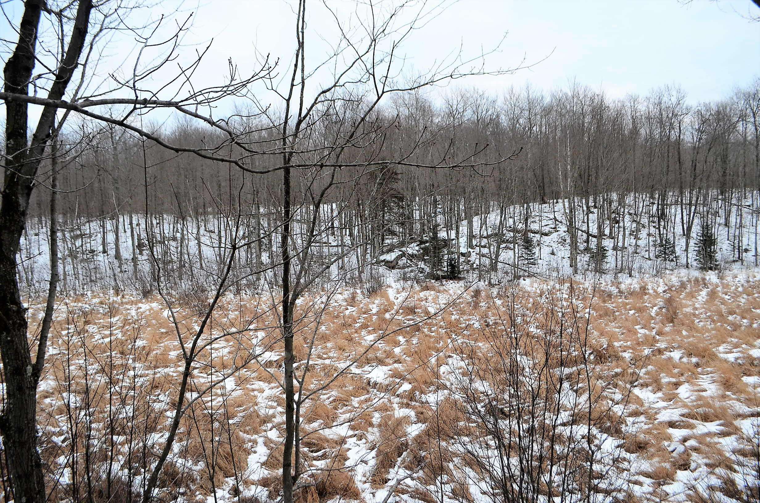 County Road Birnamwood, WI 54414 - Photo 11 of 18