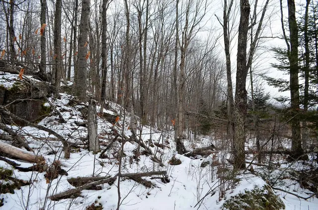 $499,900 | County Road, Birnamwood, WI 54414