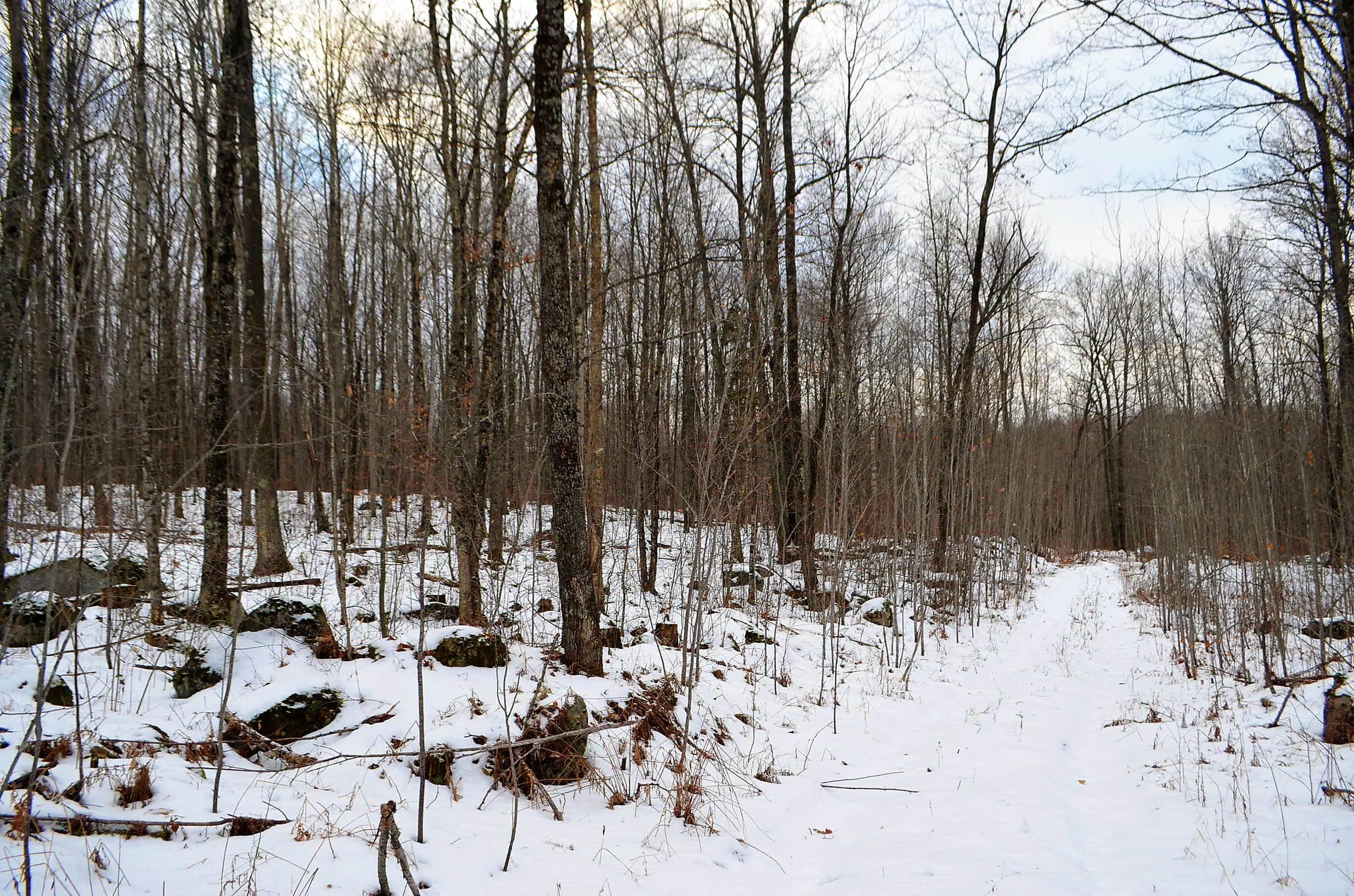 County Road Birnamwood, WI 54414 - Photo 13 of 18