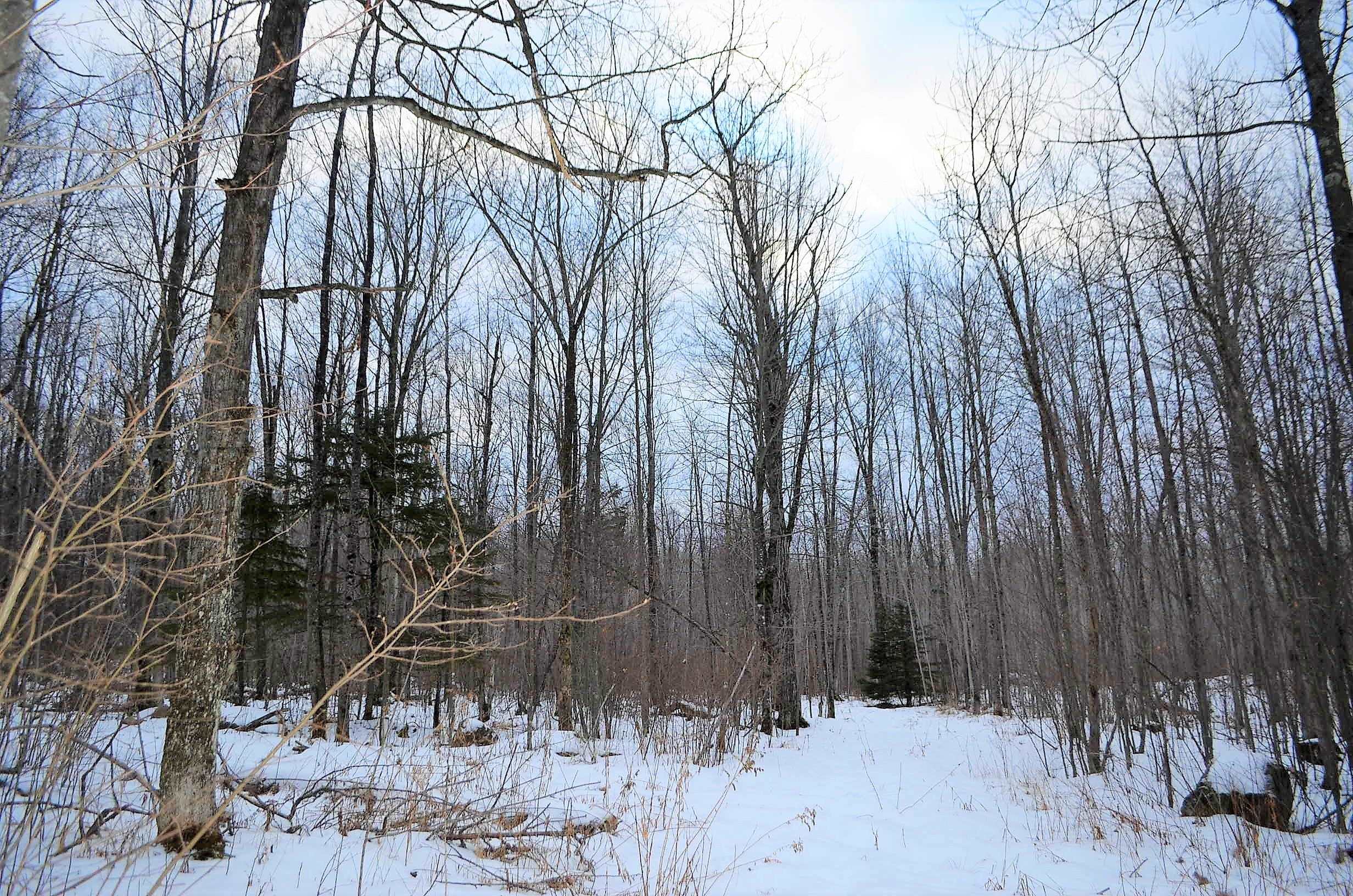 County Road Birnamwood, WI 54414 - Photo 14 of 18