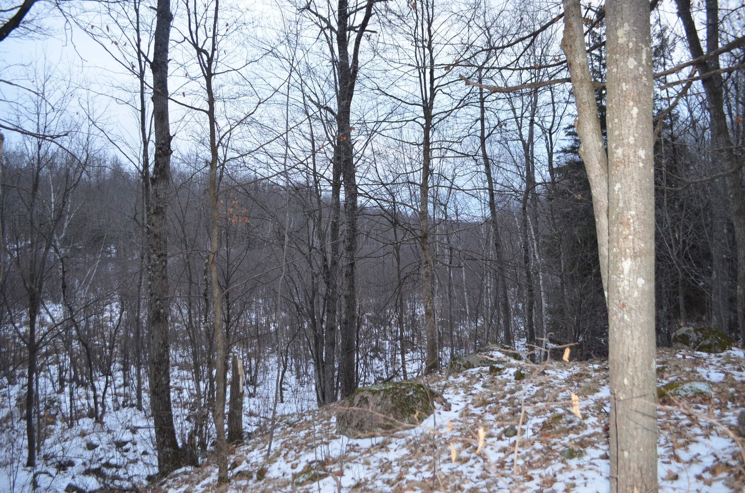 County Road Birnamwood, WI 54414 - Photo 17 of 18