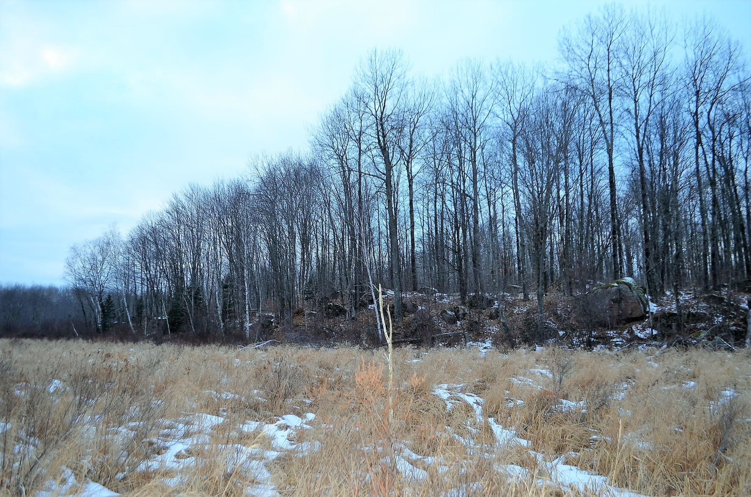 County Road Birnamwood, WI 54414 - Photo 18 of 18