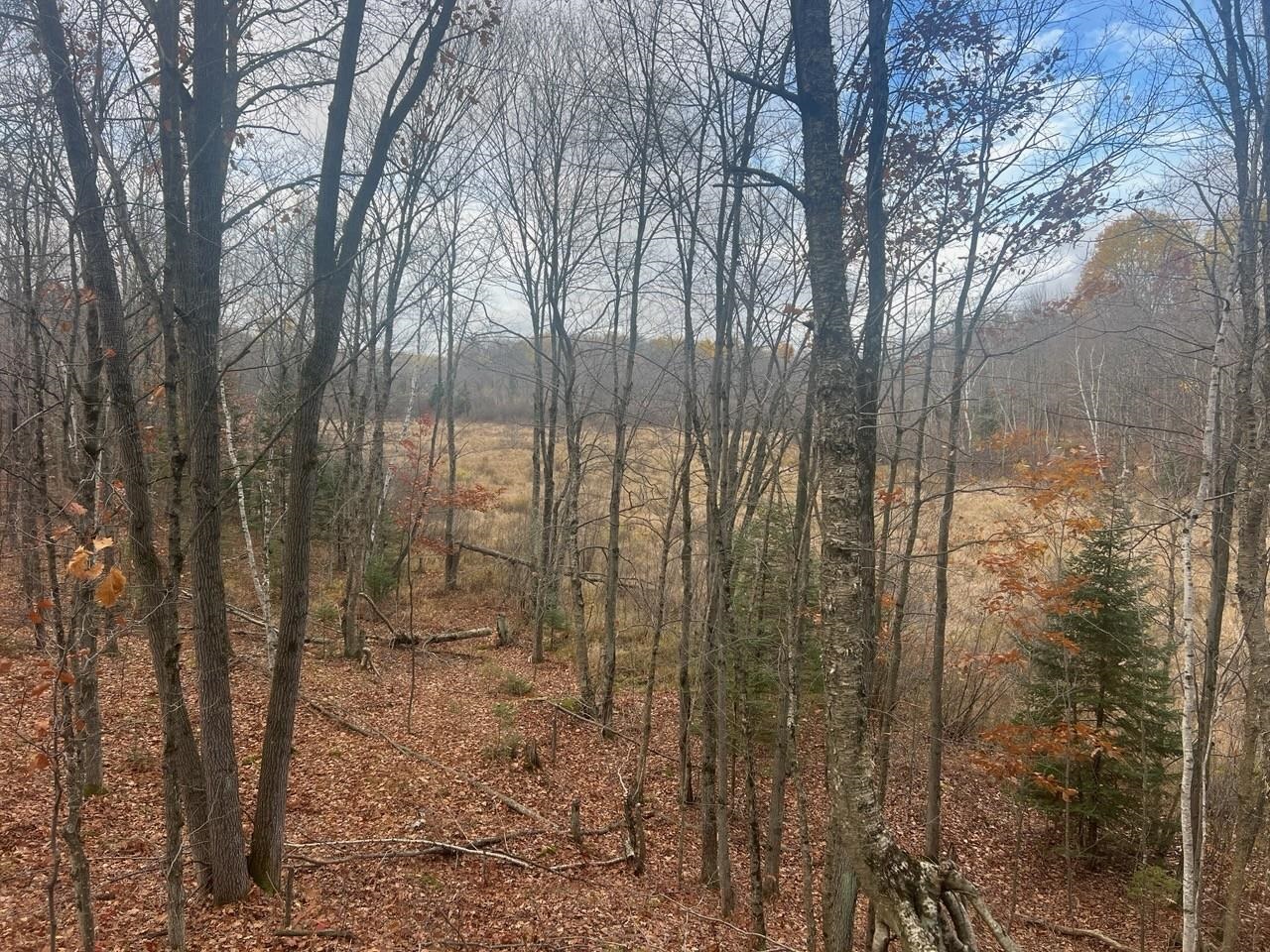 County Road Birnamwood, WI 54414 - Photo 2 of 18