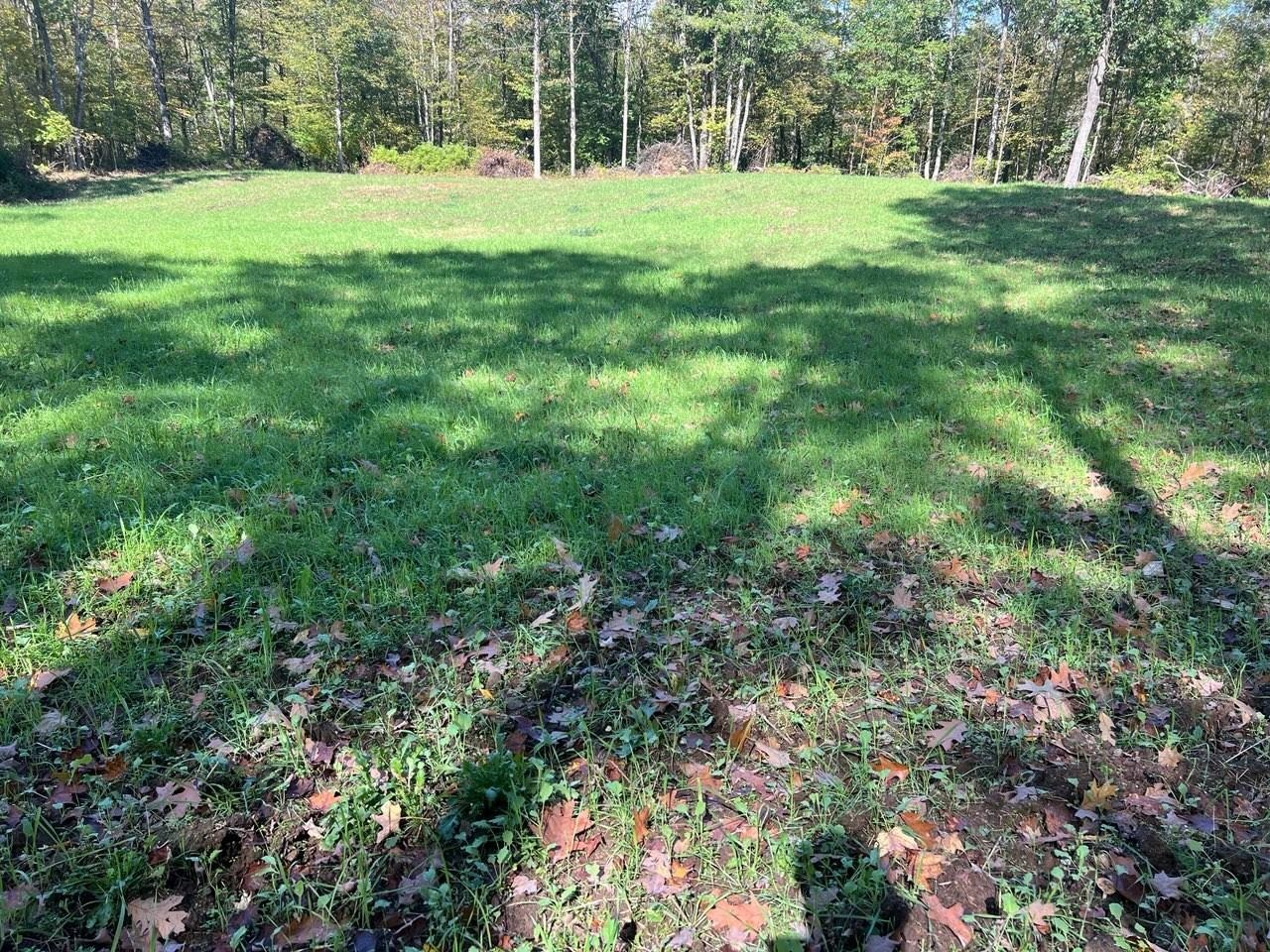 County Road Birnamwood, WI 54414 - Photo 4 of 18