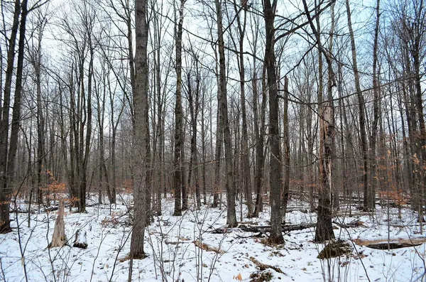 $499,900 | County Road, Birnamwood, WI 54414