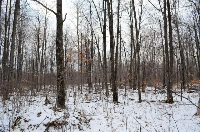 $499,900 | County Road, Birnamwood, WI 54414