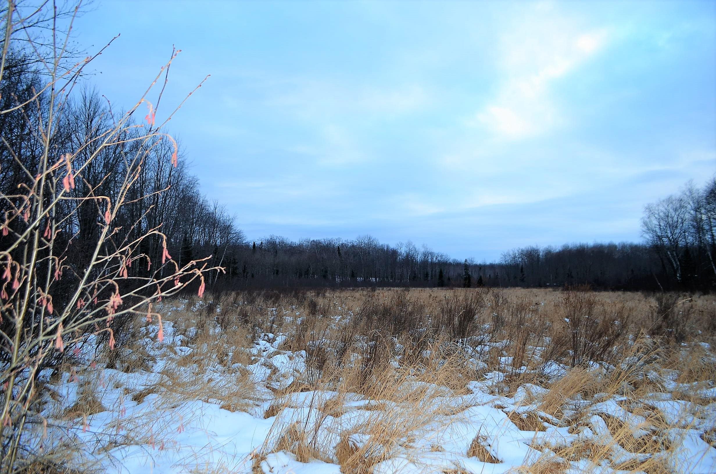 County Road Birnamwood, WI 54414 - Photo 7 of 18