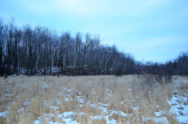 $499,900 | County Road, Birnamwood, WI 54414